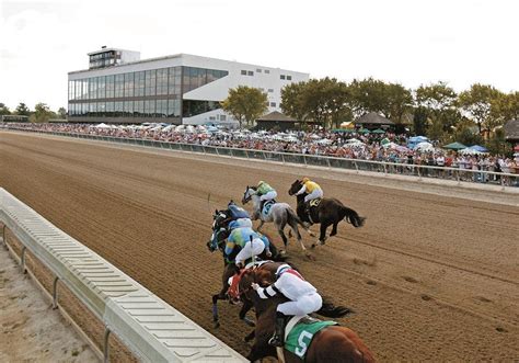 optixplot horse handicapping.